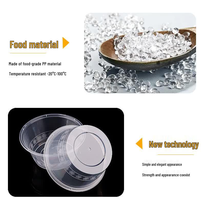 Disposable Food Grade Plastic Takeaway Containers with Lids