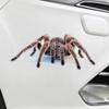 Hochwertige 3D Autoaufkleber mit coolen Spinnenmotiven für eine einzigartige Dekoration