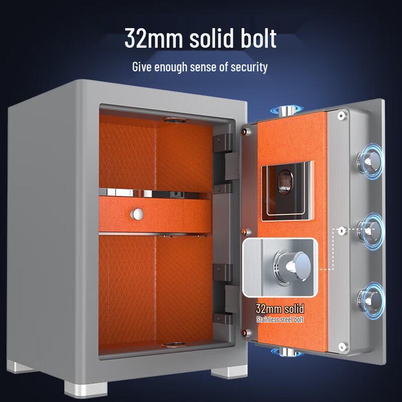 Philips SBX601 Fingerprint Security Safe