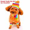 Winter-Haustier-Welpen-Zubehör für Hunde, gestrickte gestreifte Mützen, Schals und Socken, kleine kleine große Tiere, Yorkshire, Chihuahua, Katzenprodukte