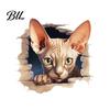 Self Adhesive Sticker Broken Wall Cat Toilet Sticker, Peel And Stick Decor PVC Bathroom Decal Decal, Removable Waterproof Lid for Stickers