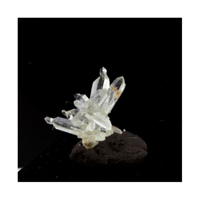 Quartz Sceptre inversé 1.58 carats