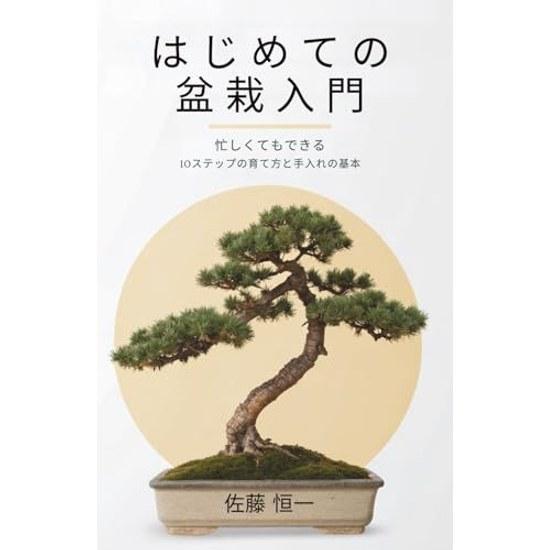 Introduction Bonsai Beginners Basic Care Growing Techniques 10 Steps That Can Be Done Even When Busy
