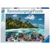 Puzzle 2000 pièces : une plongée aux maldives
