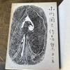 [USED] Kunio Ogawa's Collected Works Complete Set + Separate Volume