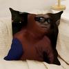 Meme Funny DDanny DDeVito Pillow Case Natural Linen DoubleSided Printing Sofa Home Decor Cushion Cover