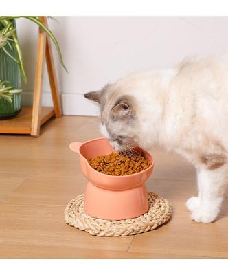 1pc Dog Bowl, Cat Bowl, Neck Protection, Cat Food Bowl, Tilted High Footed Cat Bowl, Cartoon Anti Spill Pet Bowl