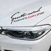 Світловідбивна наклейка на фару «Брови» для Camry 40 50 2007 2008 2009 2018 Аксесуари
