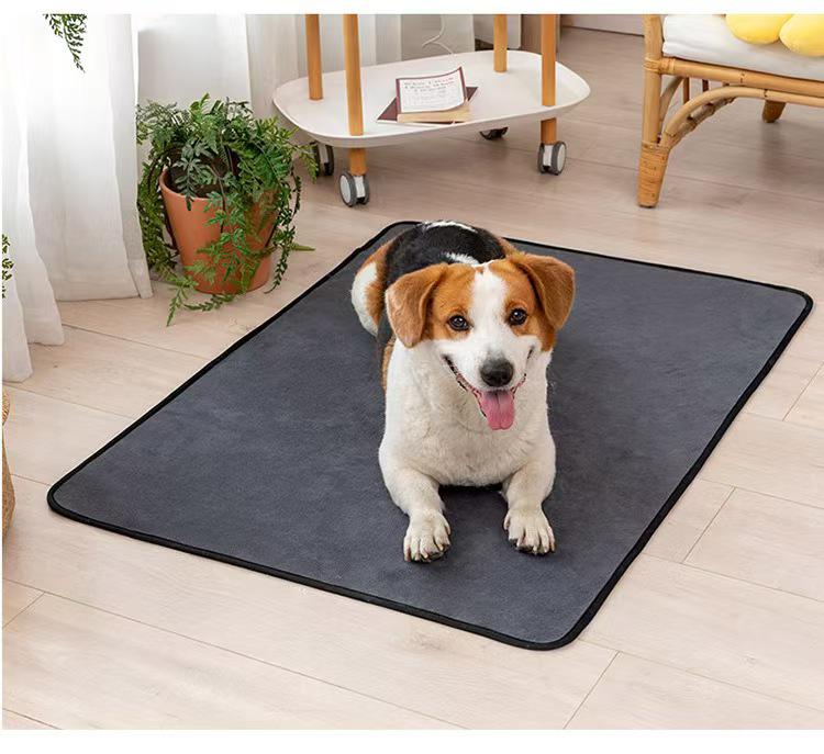 

Waterproof Pet Urine Pad - Large Playpen Mat for Cats and Dogs 45x60cm