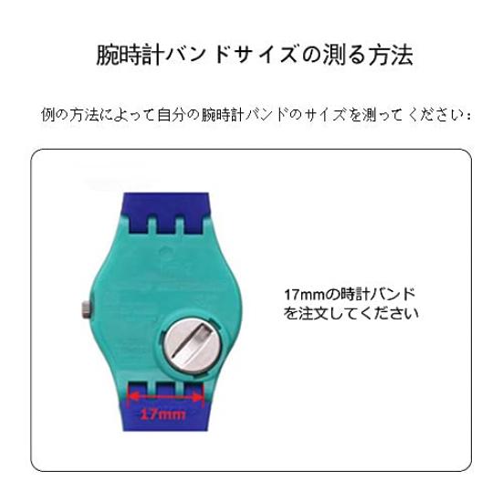 ZHUOLEI Swatch Watch Includes 3 Spring Spring Bar and Box Strap, 17mm/19mm, Black, Bars, Remover,