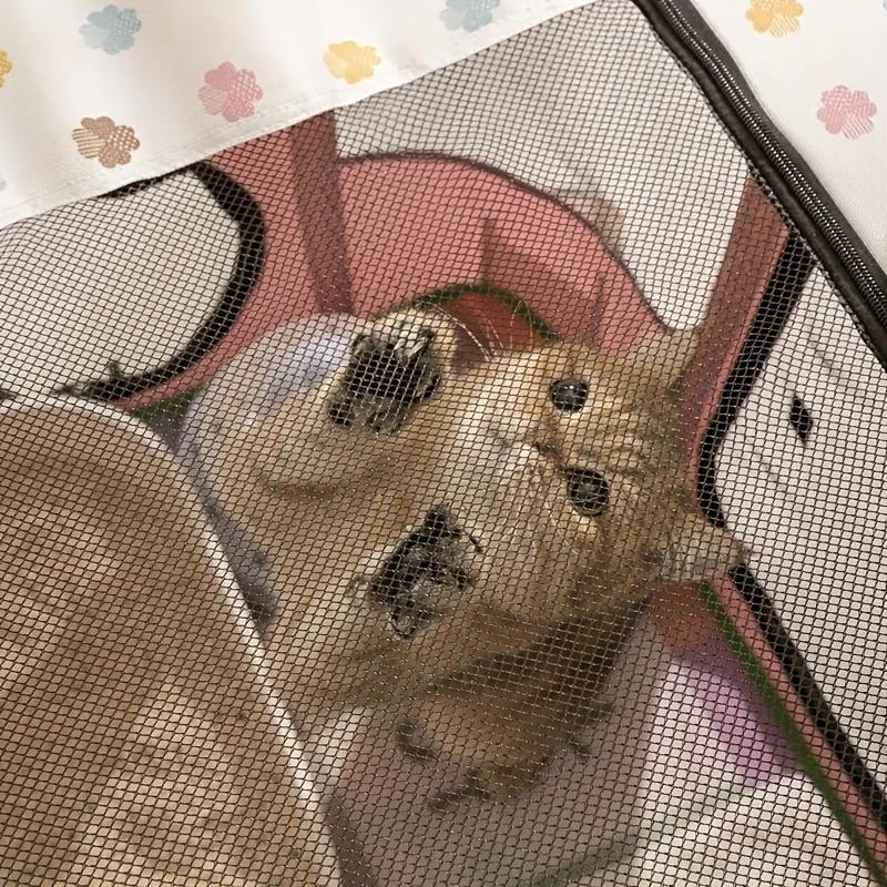 Zusammenklappbare Haustierbox für Katzen Hunde Tragbares Haustierzeltbett Sicherer Raum für Katze Geburt Geburtsbereich für Welpen und Kätzchen