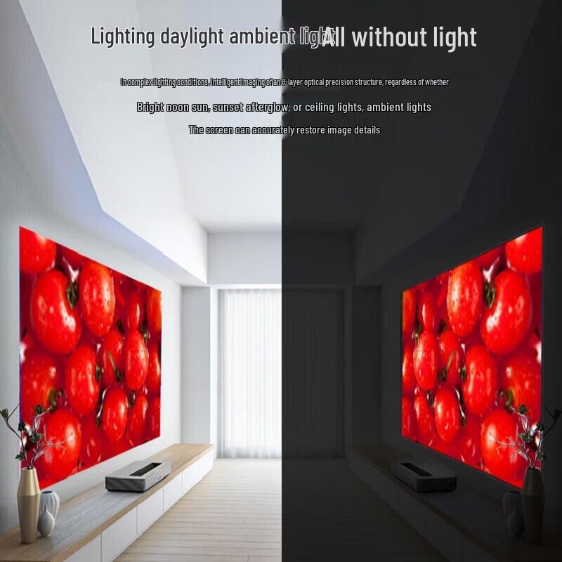 Fengmi 100-inch 7x Gain Fresnel Projection Screen