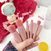 Compact 5-Piece Travel Brush Set with Mirror: Powder, Foundation, Eyeshadow Brushes & Makeup Tools