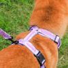 Breathable Puppy Chest Strap Reflective Cat Harnesses Durable Pet Vest  Outdoor