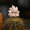 1pc Resin Nine Tailed Fox Ornament Car Accessories and Ornaments Center Console Decoration Desktop Animal Crafts Fox Model