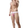 Striped Sexy Open Butt Underwear Jock Straps Briefs Thong Mid Rise Underpants
