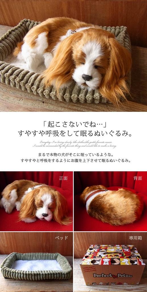 Ninian i Kino Idealny Zwierzak Cavalier King Charles Spaniel Pluszowy Wypchany Idealny Słodki Pies Wypchane Zwierzę (Mały) Pies, Realistyczny, Jak żywy, Podobny do zwierzęcia