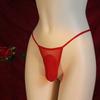 Large Size Sissy Pouch Panties Men Sexy Leopard Mini Thong Mesh Sheer Bikini Bullet Separation Penis Sleeve Lingerie G-String