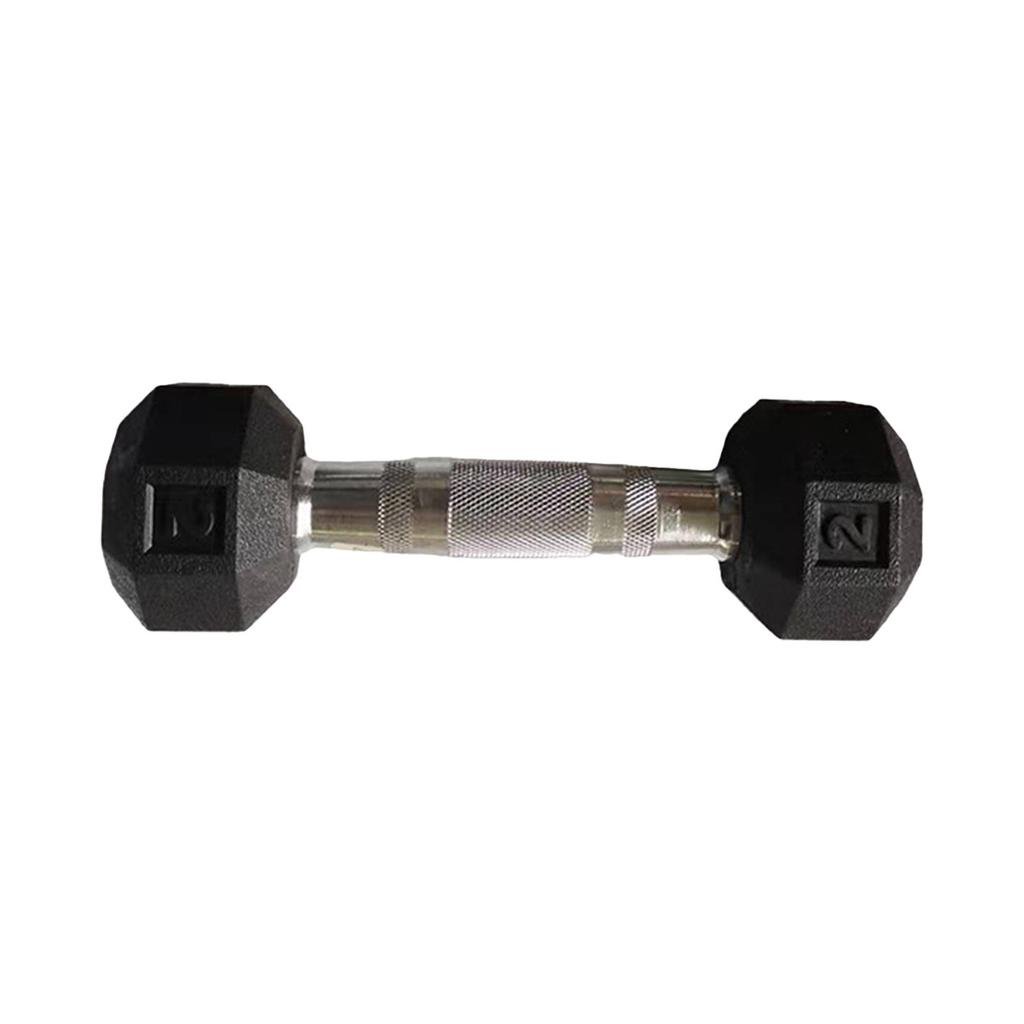 Fitness Dumbbell Hand Weight Training Barbell Octagonal Non-Slip Surface Ergonomic Handle Full Body