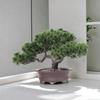 Modern Zen Artificial Tree Sculpture Plastic Designs Low Maintenance Home Ornament For Indoor Space