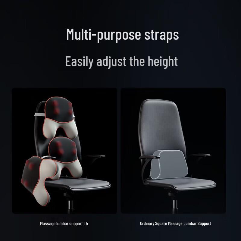 SKG T5 Lumbar Massage Cushion & Pillow