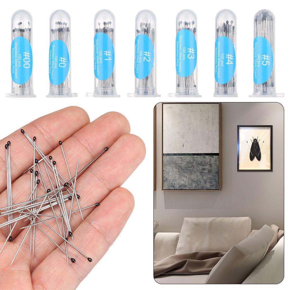 100Pcs High Hardness Entomology Education Pin Specimen Pins Needle Insect Dissections Supplies