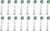 Braun Oral-B Genuine Basic Toothbrush Replacement Brush Set (16-Pack) EB20RB-16 Eco-Pack [Parallel Import]