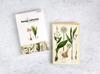 Wintertime Crafts Vintage Collection Postcard Pack of 30 Retro Style Nature and Ephemera Set Botanical, Postcards.