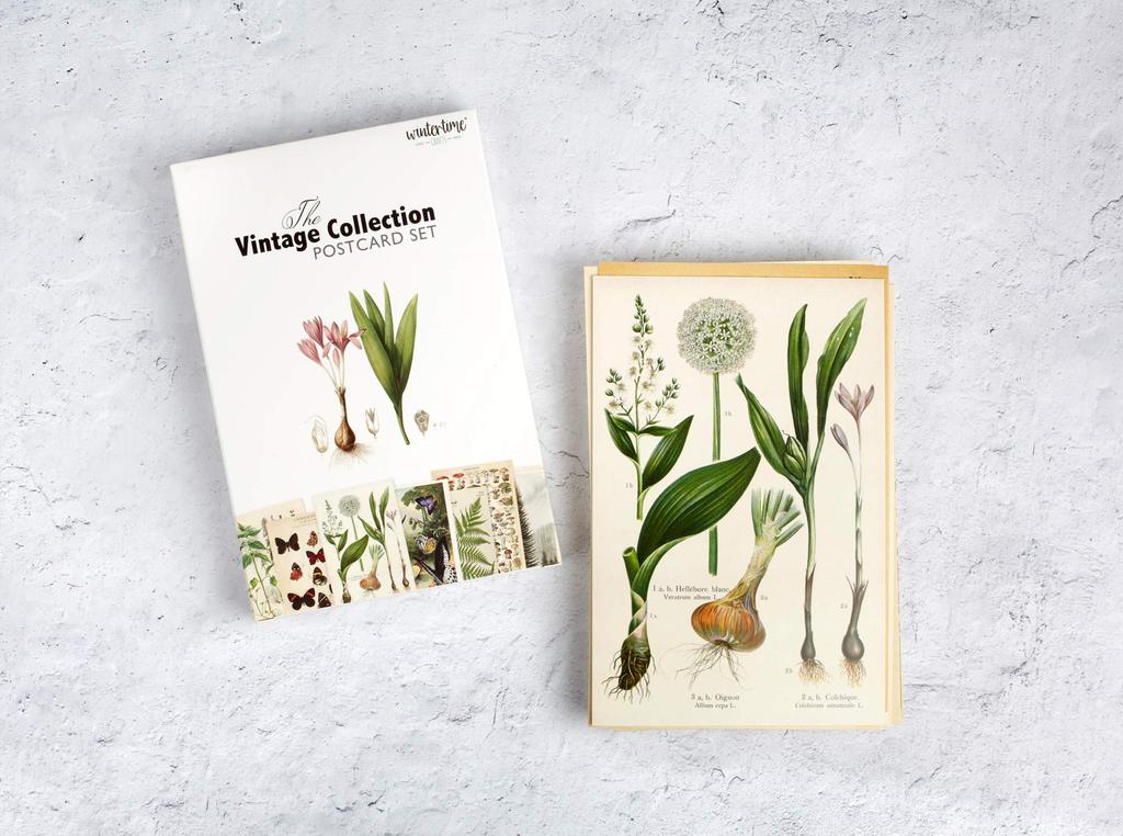 Wintertime Crafts Vintage Collection Postcard Pack of 30 Retro Style Nature and Ephemera Set Botanical, Postcards.