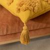 Tassel Cushion Cover 30x50cm /45x45cm Embroidered Throw Pillow Covers Home Decor Car Sofa Pillowcase For Living Room Beige Yellow