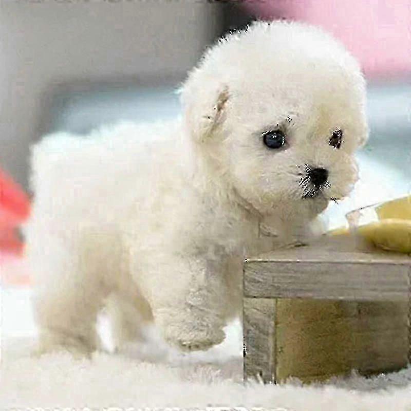 Cucciolo Robot Interattivo Giocattolo per Bambini - Cane Elettronico con Voce, Canto, Ballo, Sensore Tattile, Funzionalità Divertenti, Regalo di Compl