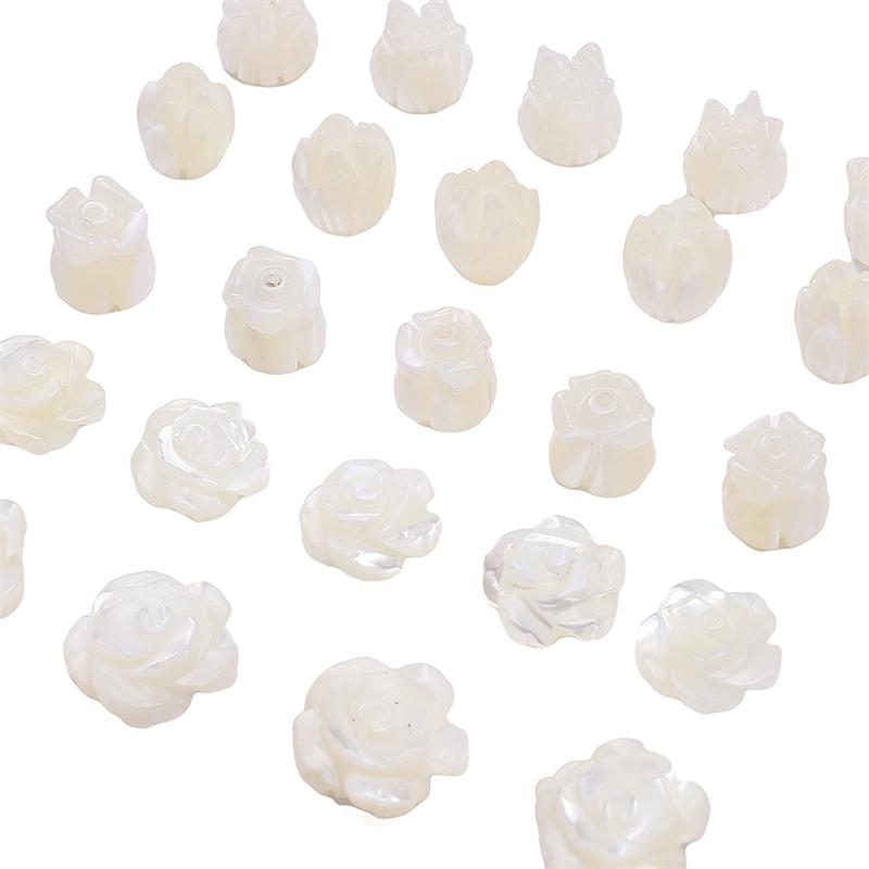 Natural Horseshoe Shell Beads For DIY Necklace Bracelet Earrings Jewelry Making