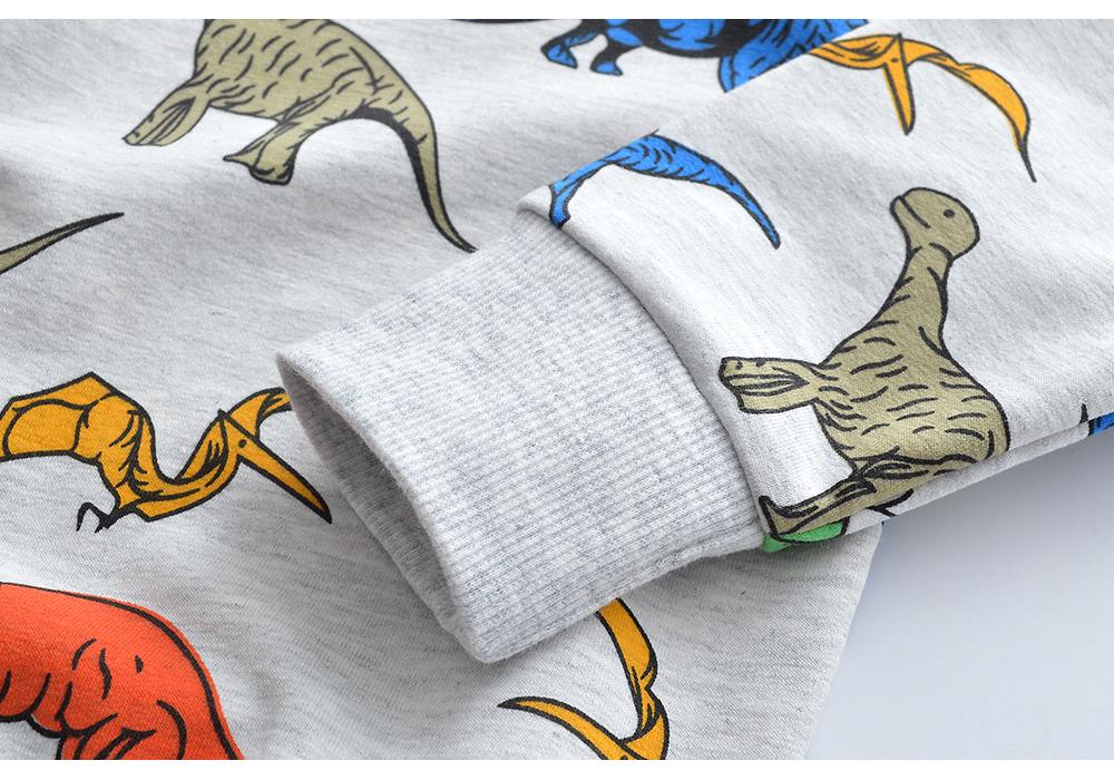 Children's Cartoon Cotton Hoodie – Boys' Long-Sleeve Autumn Wear