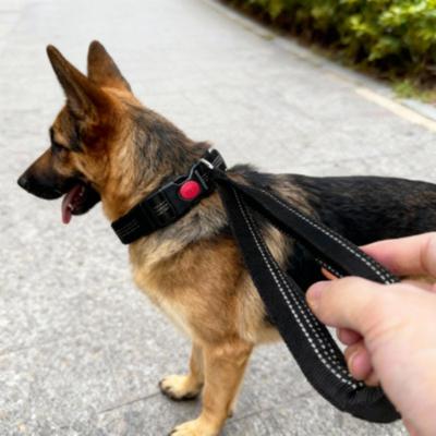 A Large Dog-specific Dog Collar Leash with A Nylon Explosion-proof Dog Leash