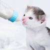 Bite Resistant with Scale Cat Feeder Rabbit Feeding Bottle Pet Milk Bottle Kitten Nipple Bottle