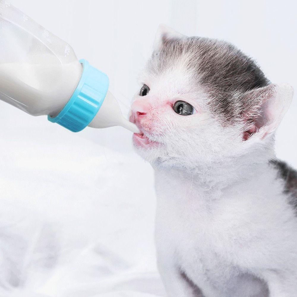 Bite Resistant with Scale Cat Feeder Rabbit Feeding Bottle Pet Milk Bottle Kitten Nipple Bottle