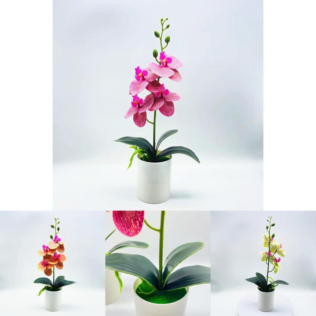 Artificial Orchid Arrangement With 3d Printing For Home Decor And Gift For Orchid Enthusiasts