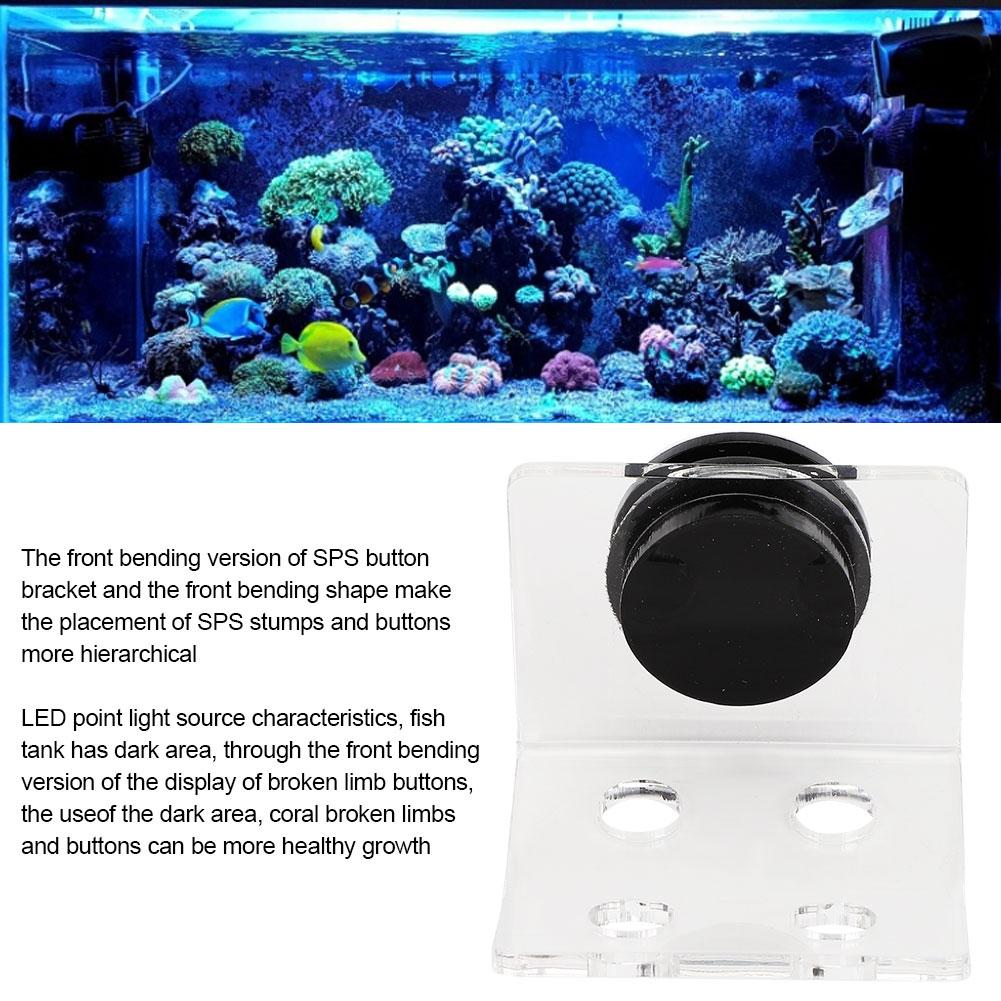 Aquarium Marine Coral Racks Bracket Holder Fish Button Frame Enhanced Suction Cup