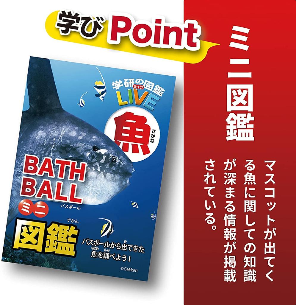 Set of 5 Foaming Illustrated Live Fish Bath with Mini Illustrated Ocean Gakken Carbonated Bath for Boys and Elementary School Includes a convenient