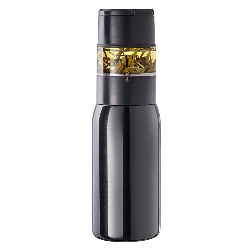 Portable Tea Infuser Glass Water Bottle
