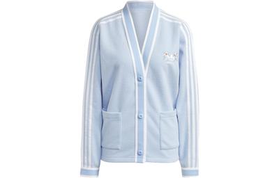 Knitwear Women's Blue V Neck Moderate Cardigan IP3760