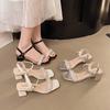 French beautiful thick heel sandals women's summer wear with skirt 2025 popular super hot new wedge heel high heel small sandals