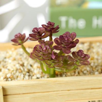 1Pc DIY Fadeless Fake Succulents Plastic Decorative Everlasting Artificial Plant Party Decor