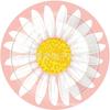 Daisy Party Tableware Decorations Plates Cups Napkins Banner Tablecloth for Girls Baby Shower Flowers Summer Birthday Party