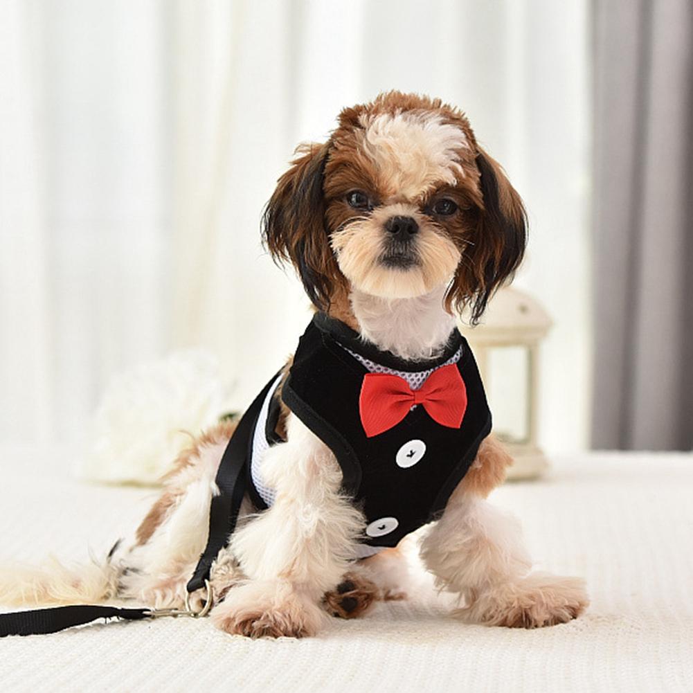 Haustier Polyester Abendkleid Brustgurte Geschirr mit Zugleine für Hund KatzeL