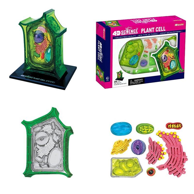 

Educational Microscopic Structure Animal And Plant Cell Model 26 Parts Pvc Material School Teaching Display