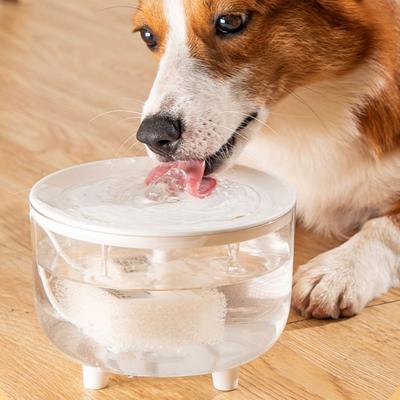 Fontanella per gatti da 1500 ml Distributore automatico di acqua per animali domestici con pompa silenziosa Abbeveratoio trasparente per animali domestici da interno per gatti cani