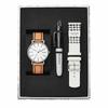 Skagen Men's Signatur Brown and White Leather Watch SKW1109 Gift Set with Replacement Strap and Pen