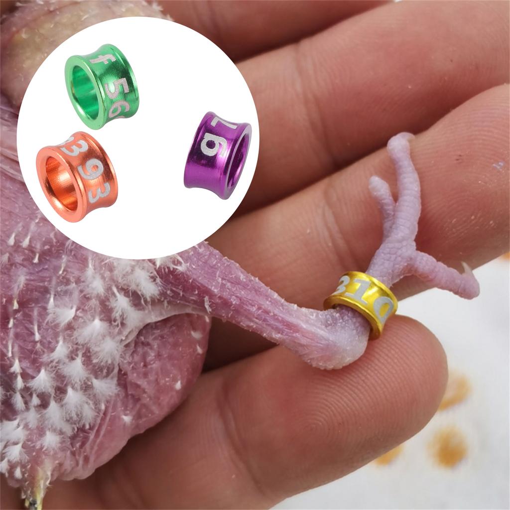 1Pack/40Pcs Digital Bird Foot Rings Inner Diameter 4mm/4.7mm Aluminum Pigeon Parrot Identification Rings Random Number Mix Color