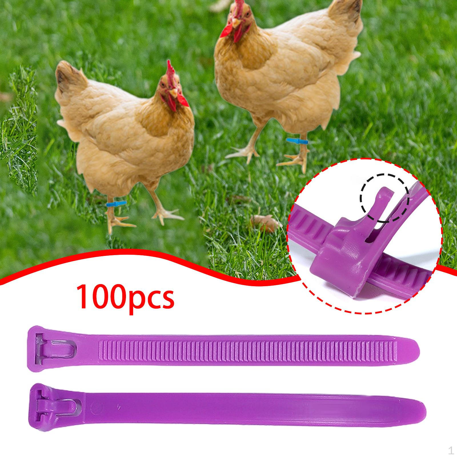 

100 Pieces Chicken Leg Bands Poultry Identification Tags Rings for Bantam